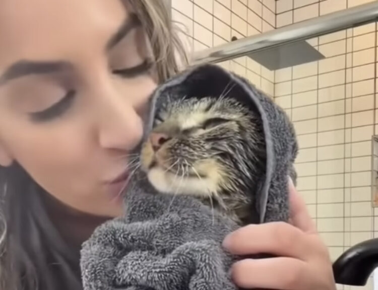 猫「お風呂頑張ったよ？」 おとなしく入浴してくれる猫さん。