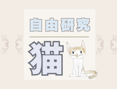 夏休みの自由研究は猫で決まり