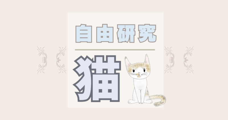 夏休みの自由研究は猫で決まり