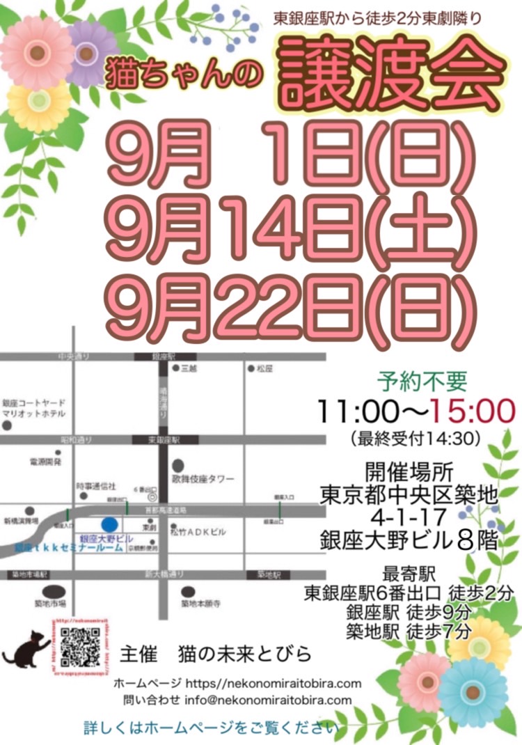 2024年9月14日猫のみらいとびら譲渡会令和6(2024)年9月開催