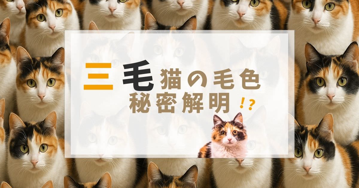 世紀の発見】三毛猫の毛色のヒミツついに解明！黒と茶色を分ける遺伝子 