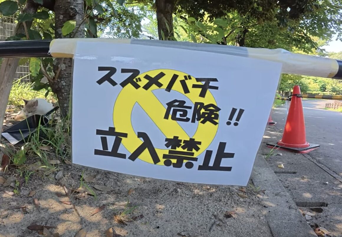「スズメバチ危険！」張り紙のそばでくつろぐ猫さんたちにヒヤヒヤ