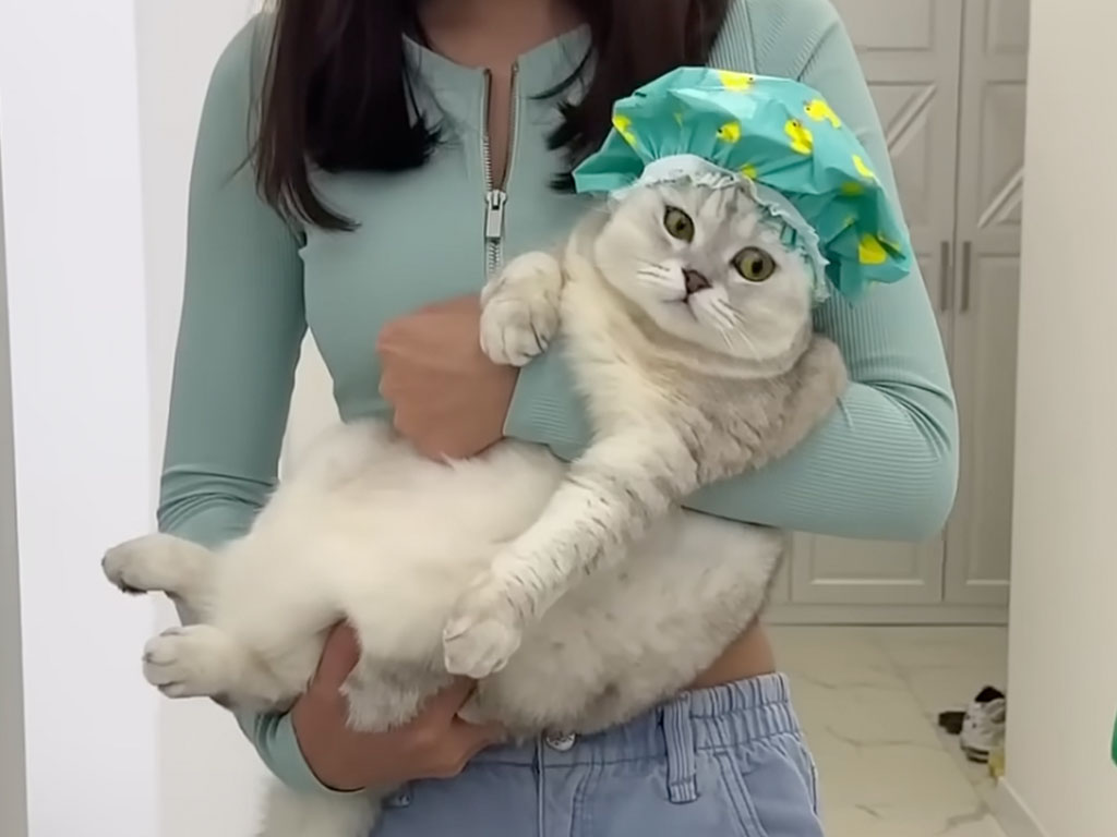 「お風呂いやニャ！！」全力でバスルームを拒否する猫さん、演技派すぎて笑っちゃう