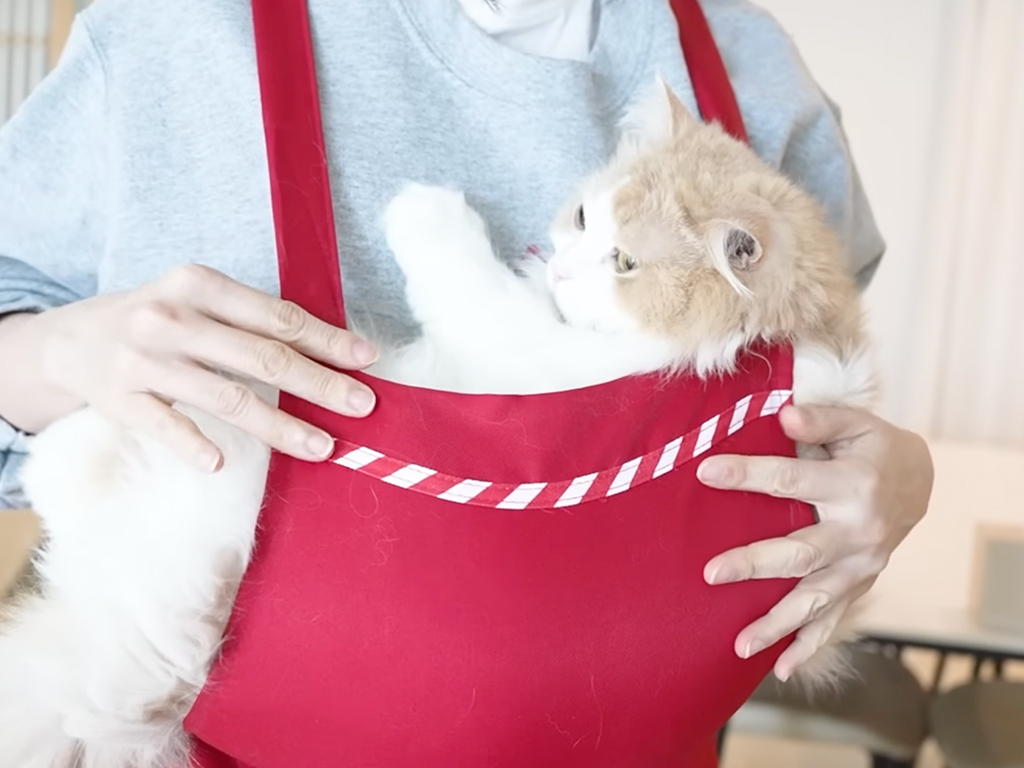 みんなは卒業したけれど…… 今も赤ちゃん気分で抱っこをねだる猫さんが可愛すぎる