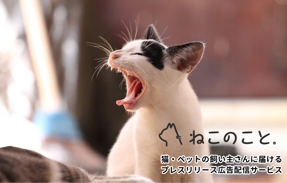 ねこのこと。　猫・ペットの飼い主さんに届けるプレスリリース広告配信サービス